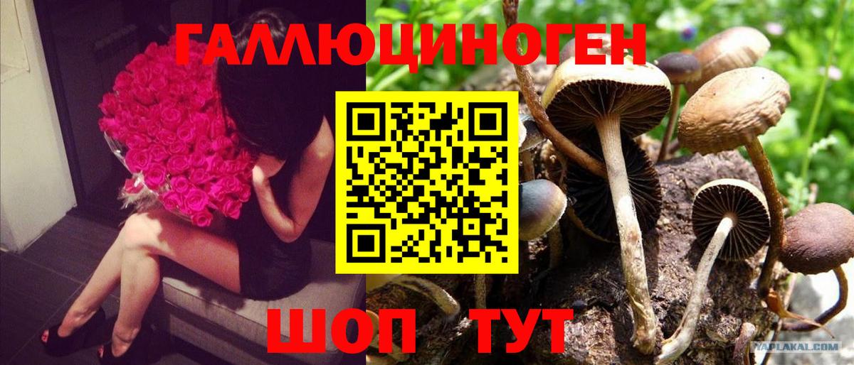 Псилоцибиновые грибы ЛСД  Галлюциногенные грибы Psilocybine cubensis  Вход с VPN  Радужный 