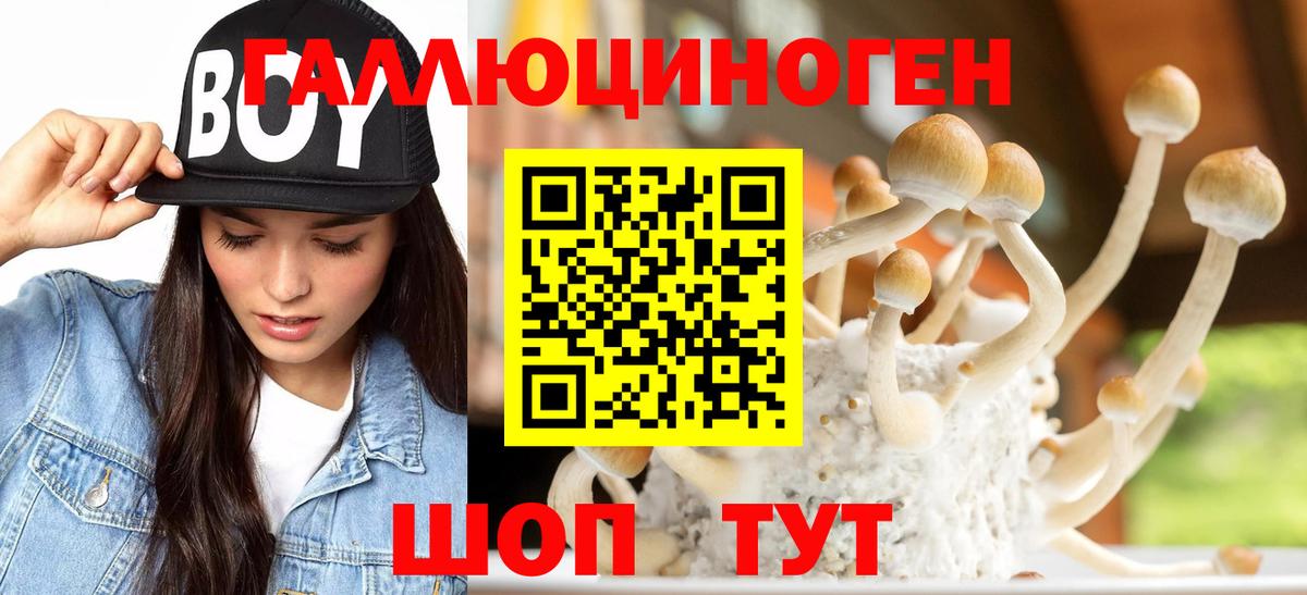 Псилоцибиновые грибы мухоморы Радужный